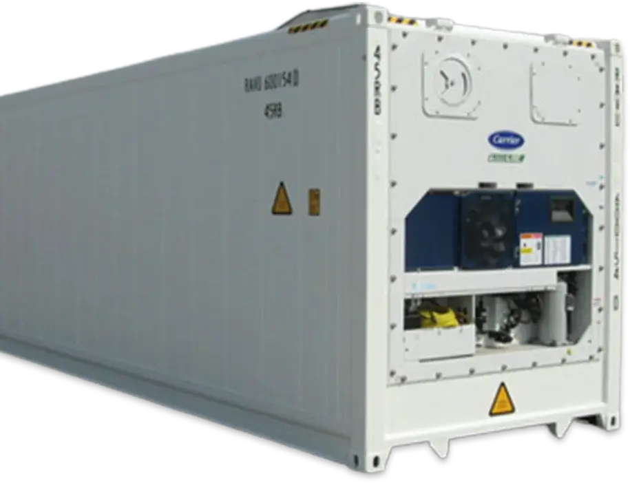 Buy Refrigerated Shipping Container