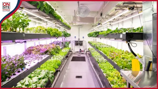 Sustainable Farming Practices Inside the Container