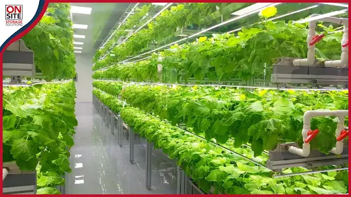 Positive Influence of Shipping Containers on Modern Agriculture