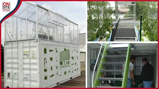 Benefits of Shipping Container Greenhouses for Sustainable Agriculture and Gardening