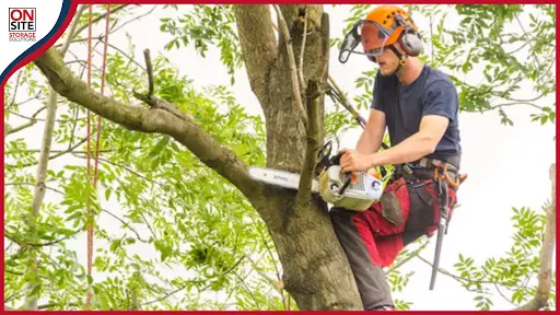 Clear Any Overhead Branches or Wires