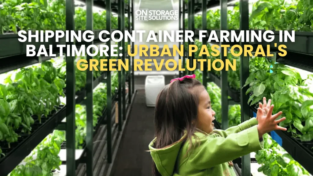 Shipping Container Farming in Baltimore Urban Pastoral's Green Revolution