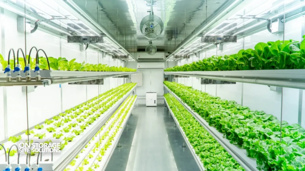 The Creative Usage of 40ft Shipping Containers-Indoor Farms