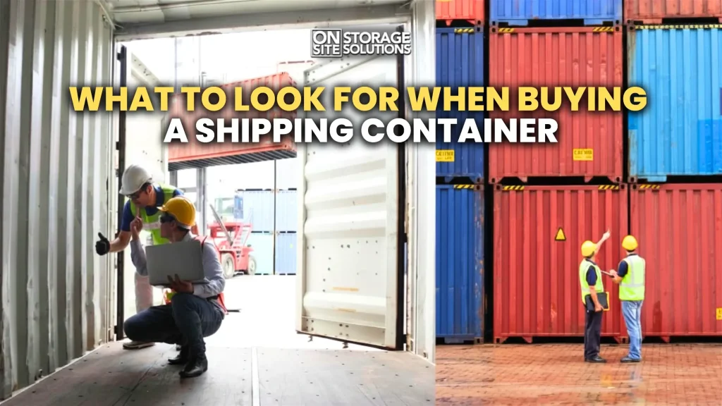 What to look for when buying a shipping container including condition, size, and quality