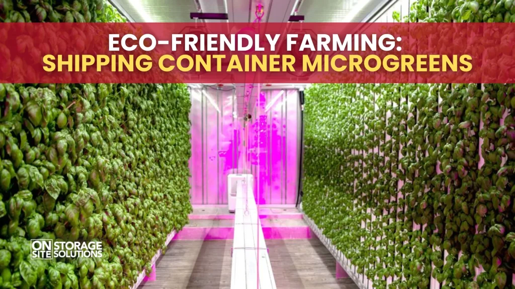 Eco-Friendly Farming Shipping Container Microgreens