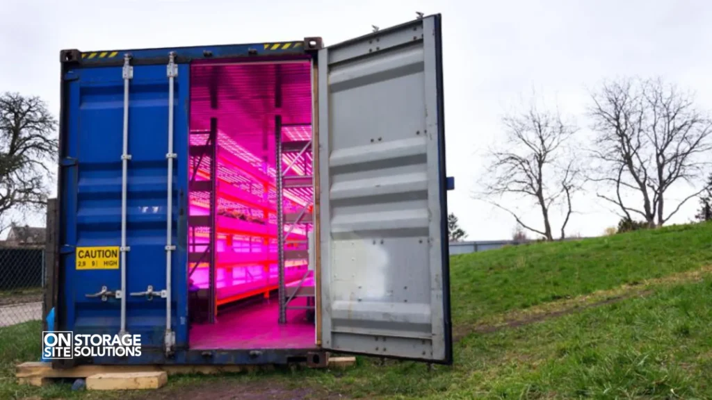 Why Should You Consider Growing Microgreens in Shipping Containers