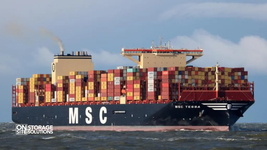 Real-World Examples-MSC Tessa