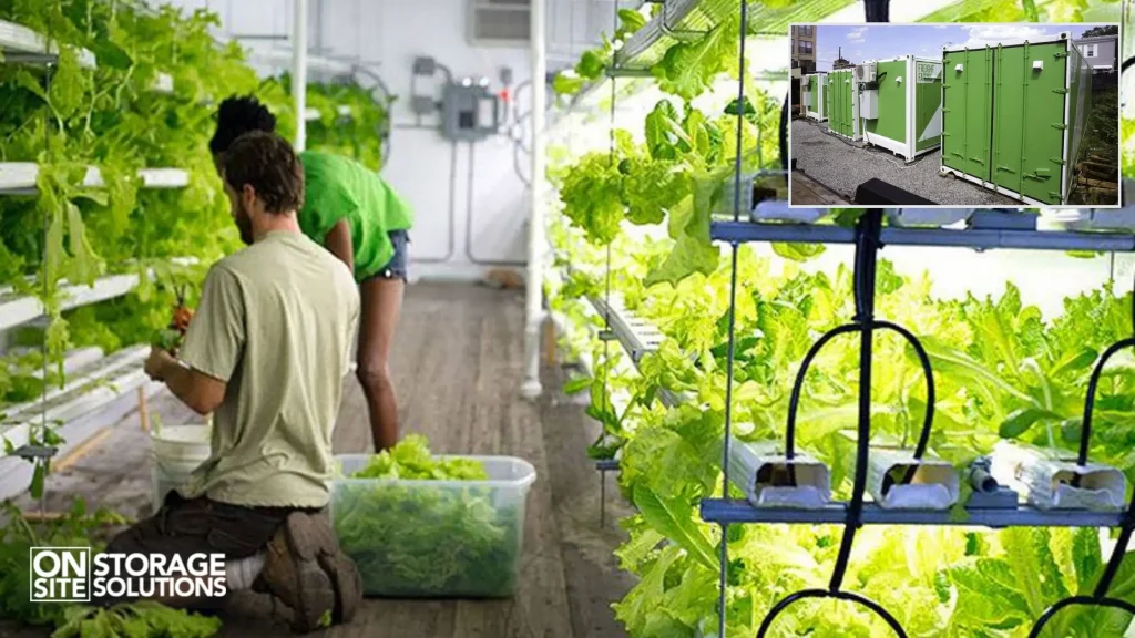 Shipping Container Farming