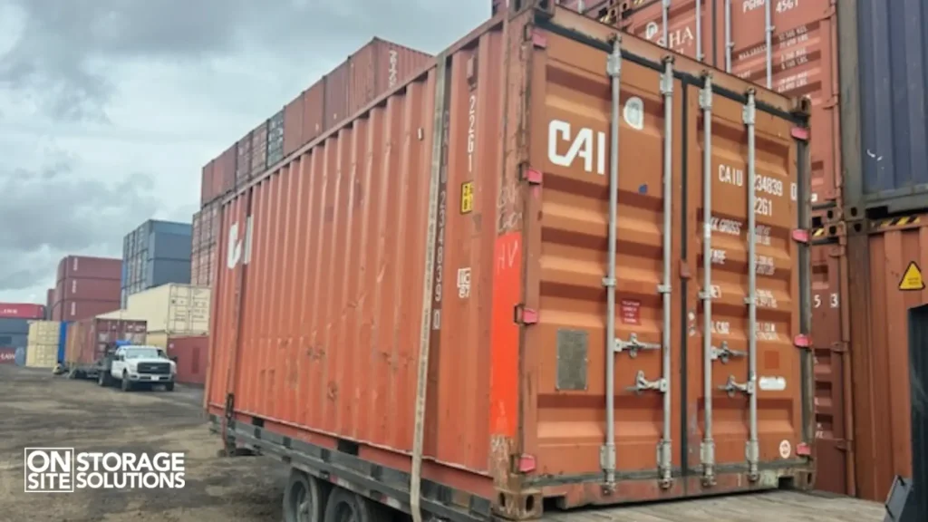 The Importance of Container Size and Type