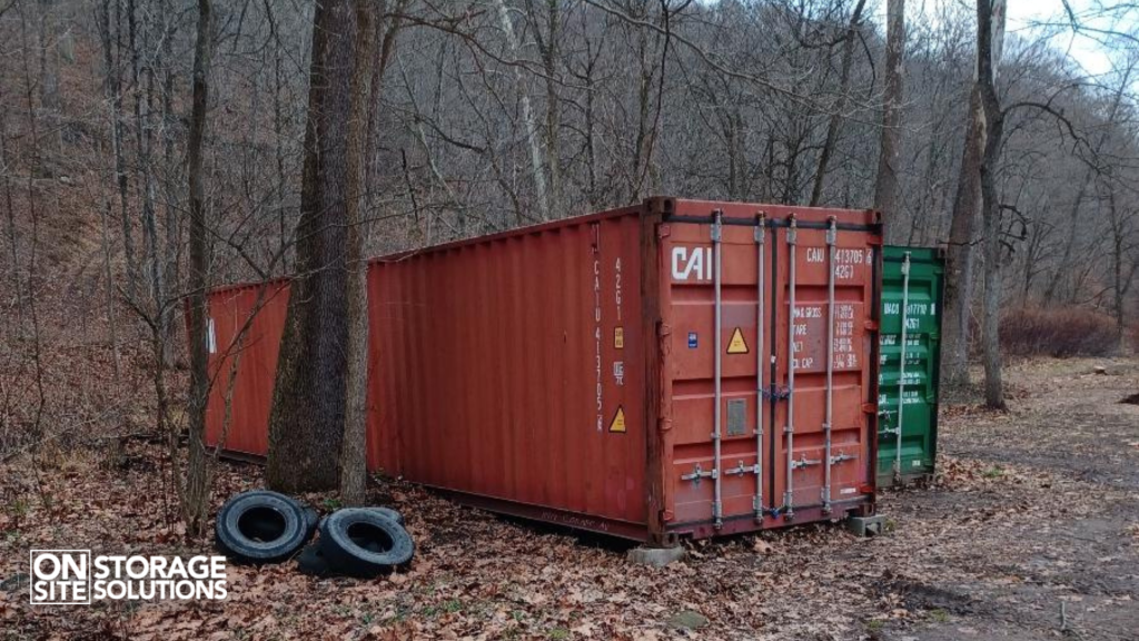 How Local Container Rentals Beat Traditional Storage